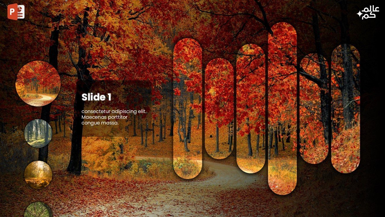 تصميم لعرض الأفكار باستخدام الصور