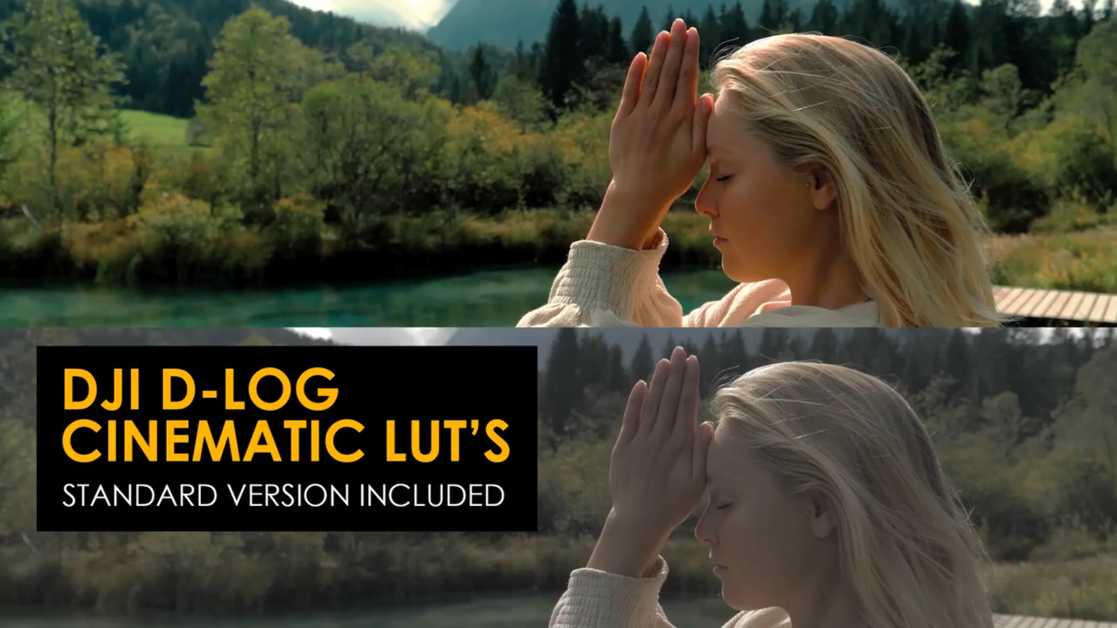 Cinematic DJI D-Log And Standard Luts