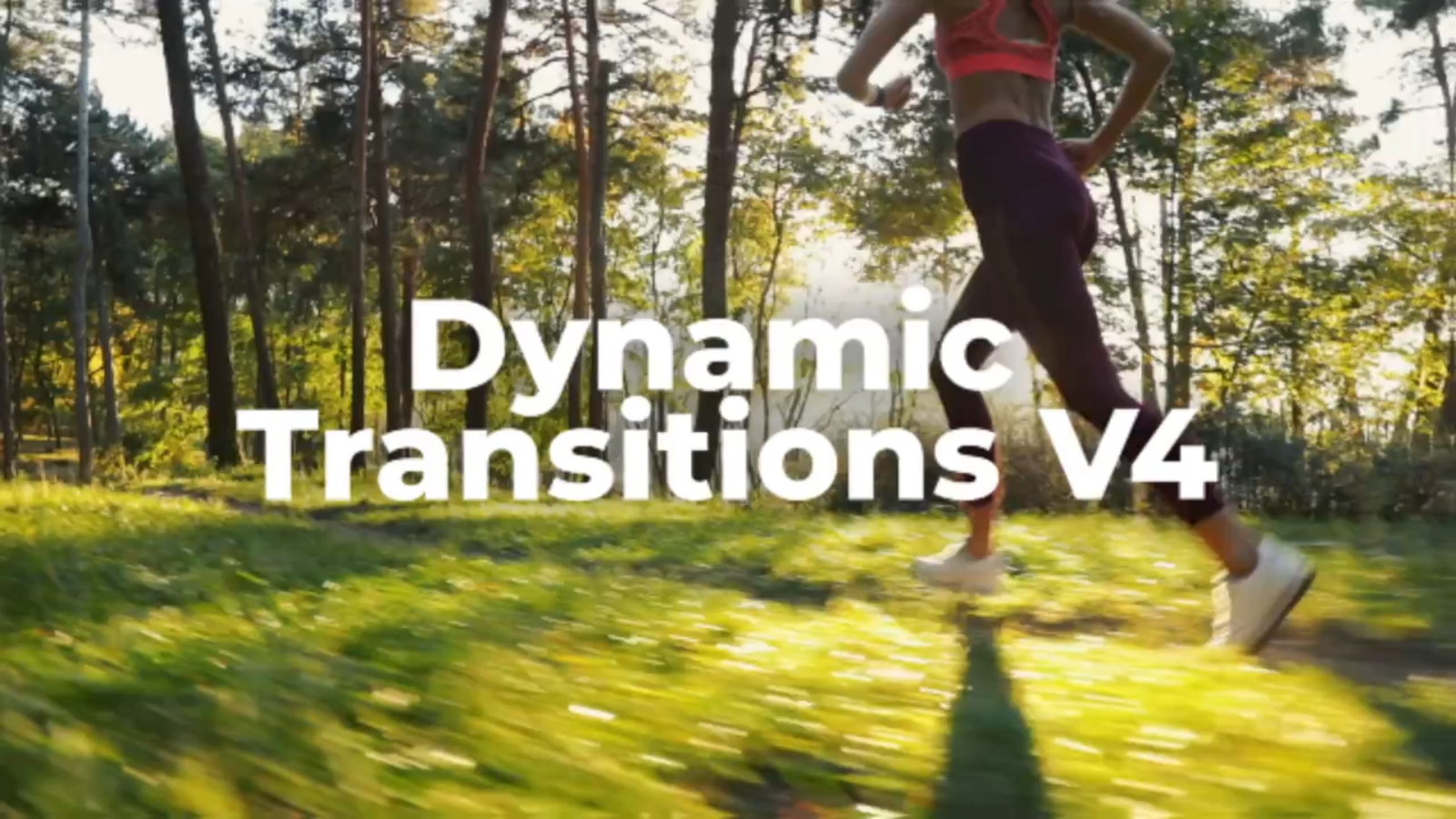 Dynamic Transitions V4