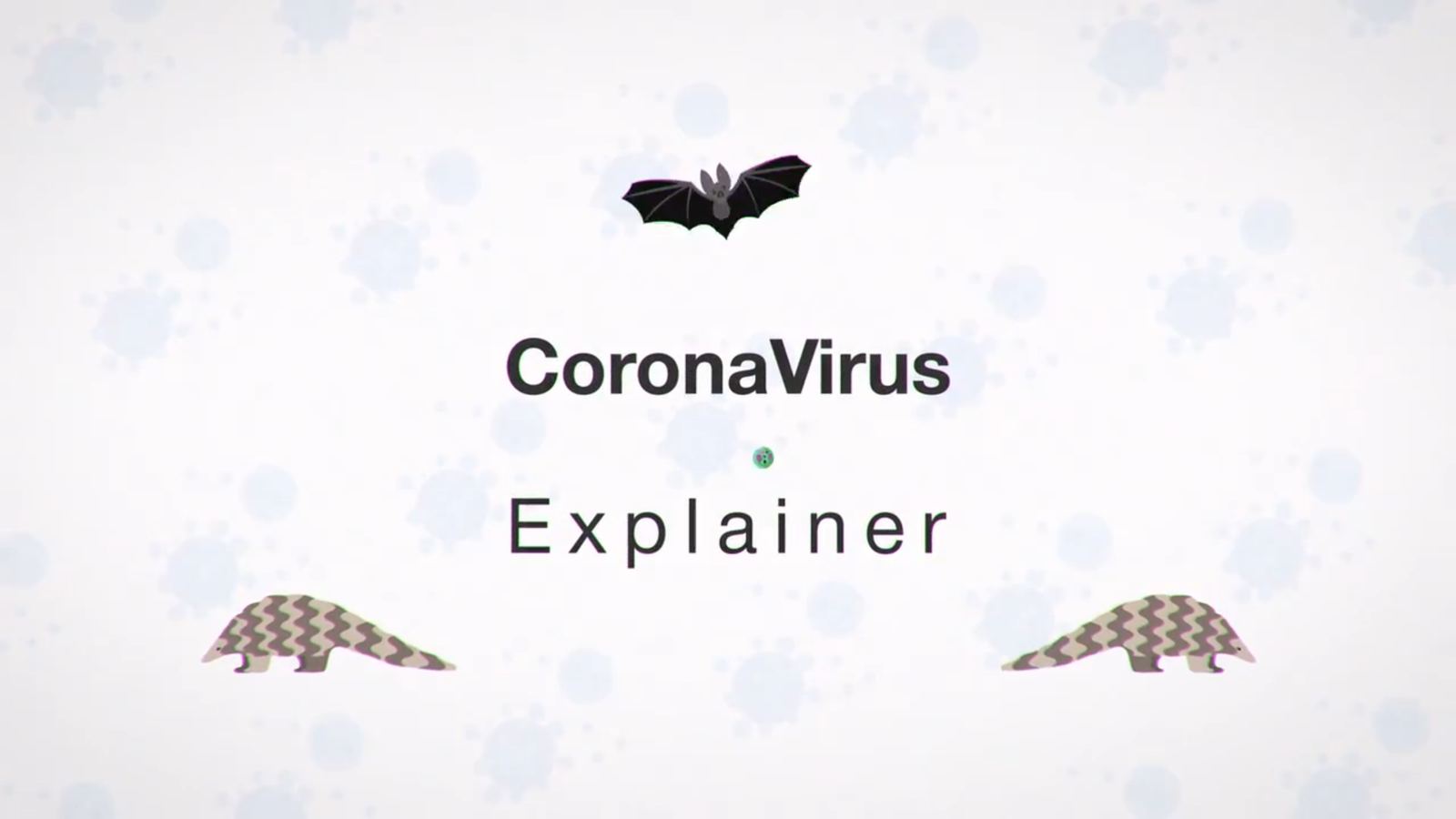Corona Virus - Covid-19 Explainer