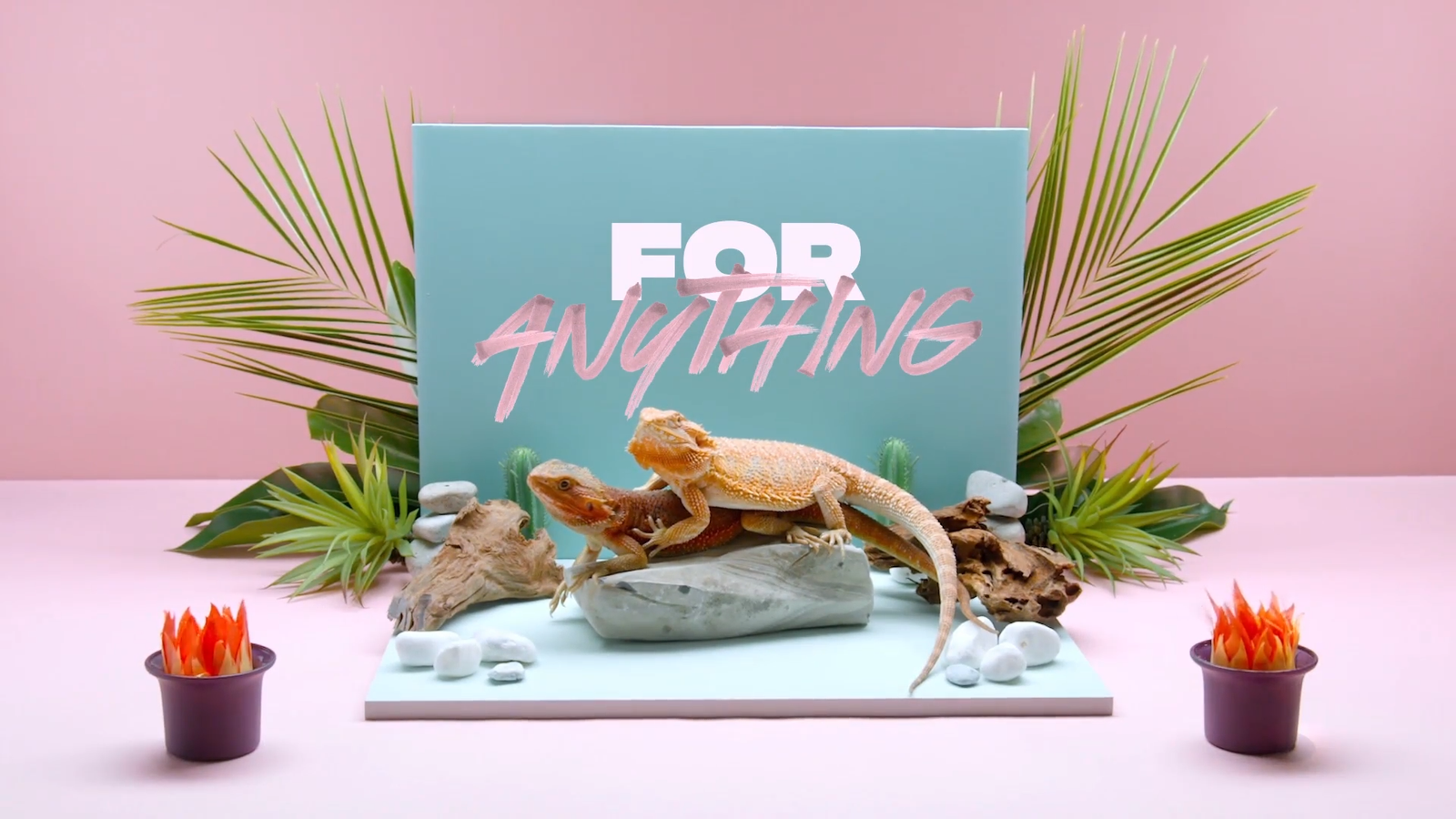 Animated Font