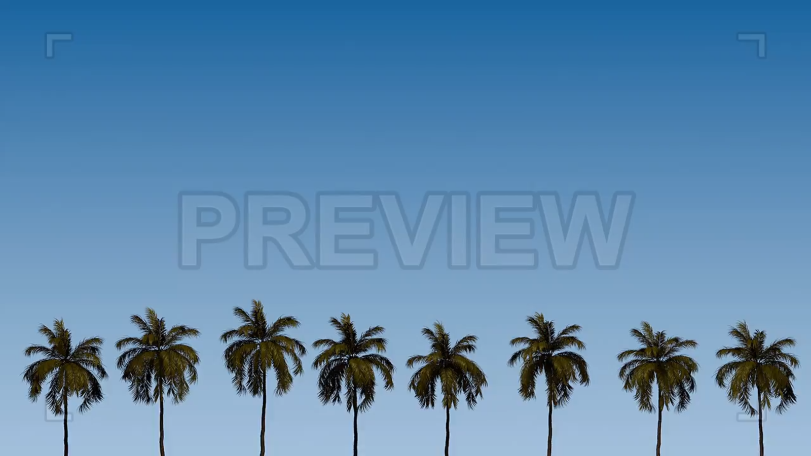 Palm Trees On A Sky Background