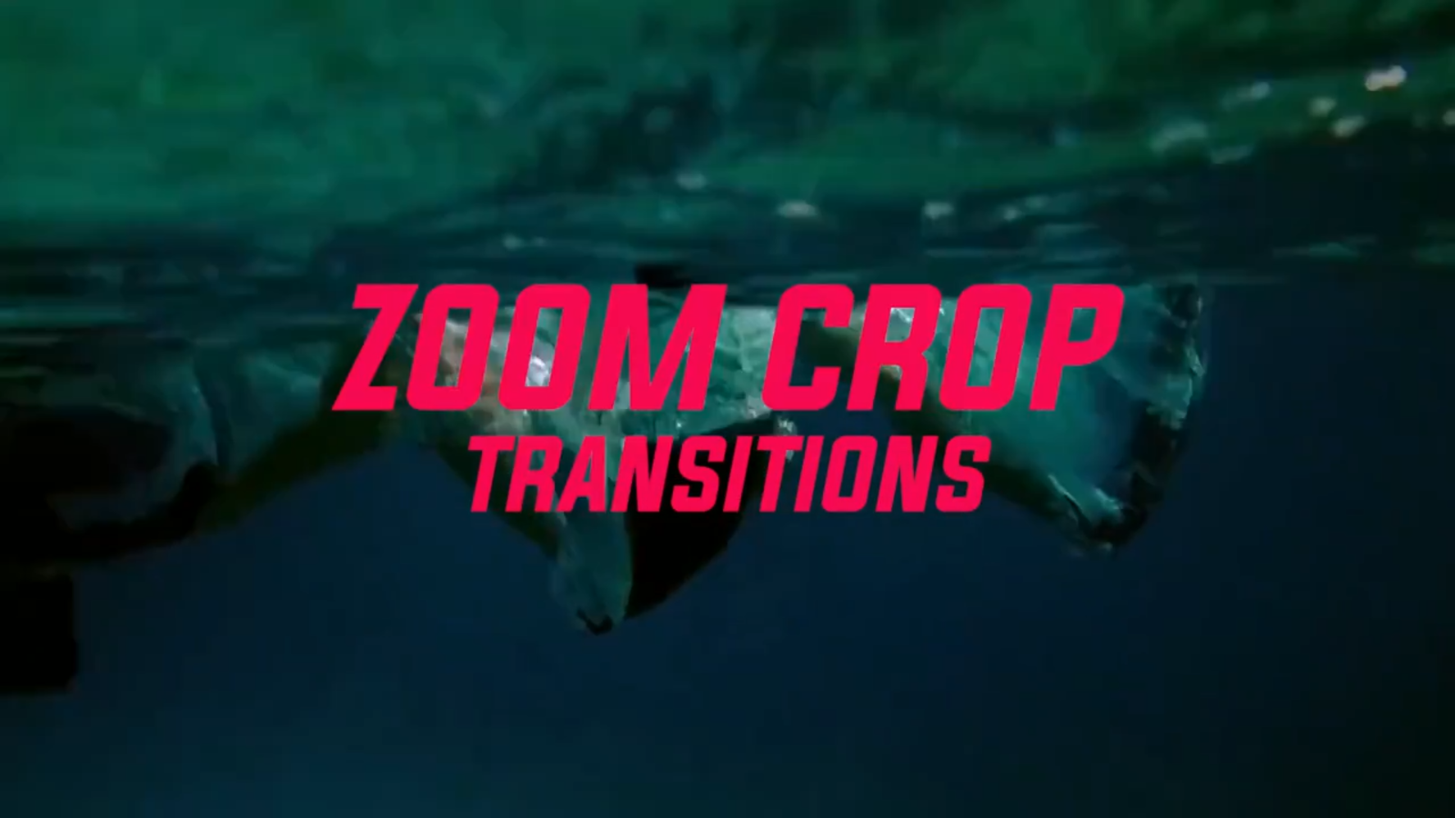 Zoom Crop Presets